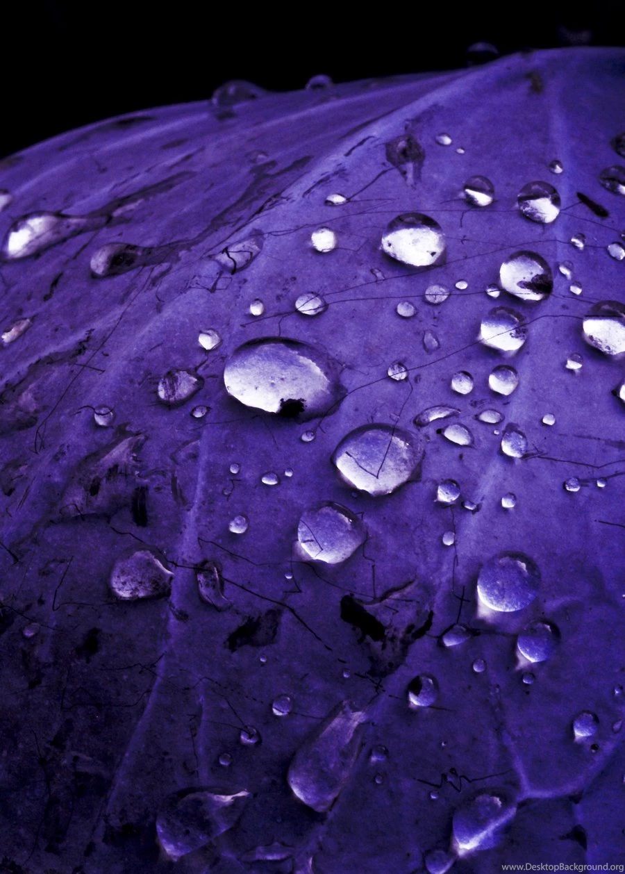 Purple Rain Shower By Mondkrater On DeviantArt
