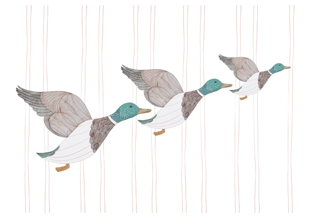 Flying Ducks' Giclee Print Of Pen And Ink Drawing :
