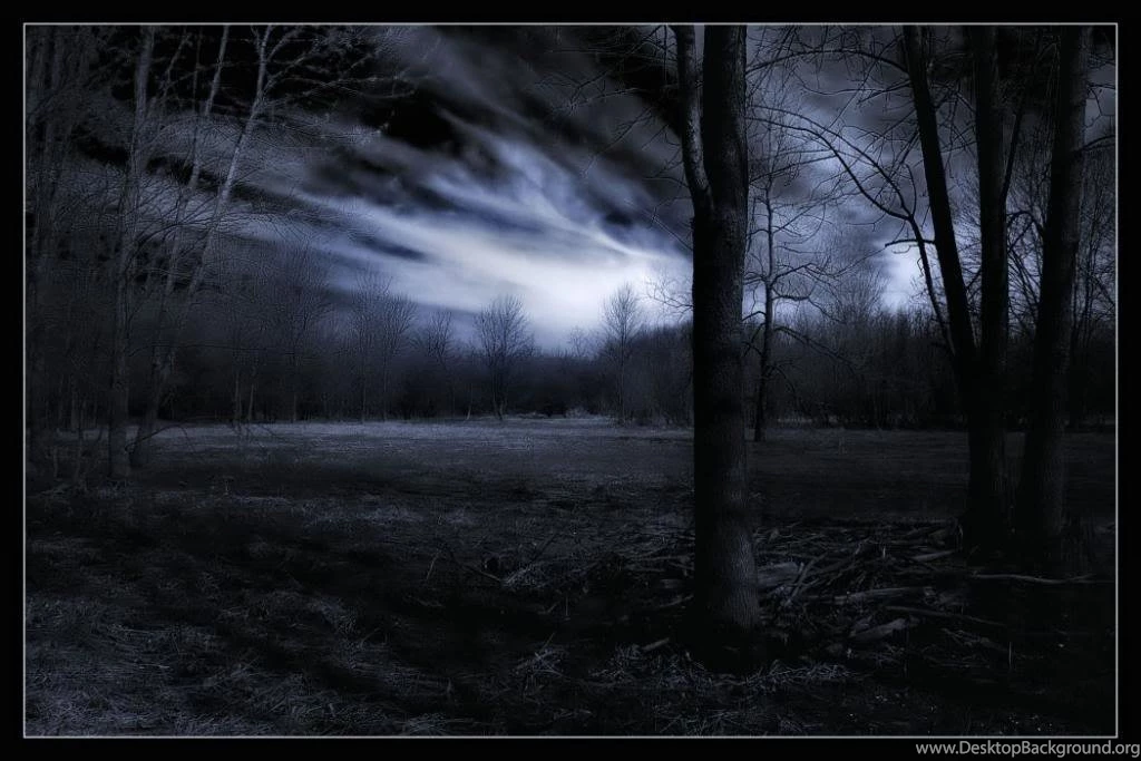 Wallpapers Archives   Page 2 Of 69   WallOXS.comWallOXS.com