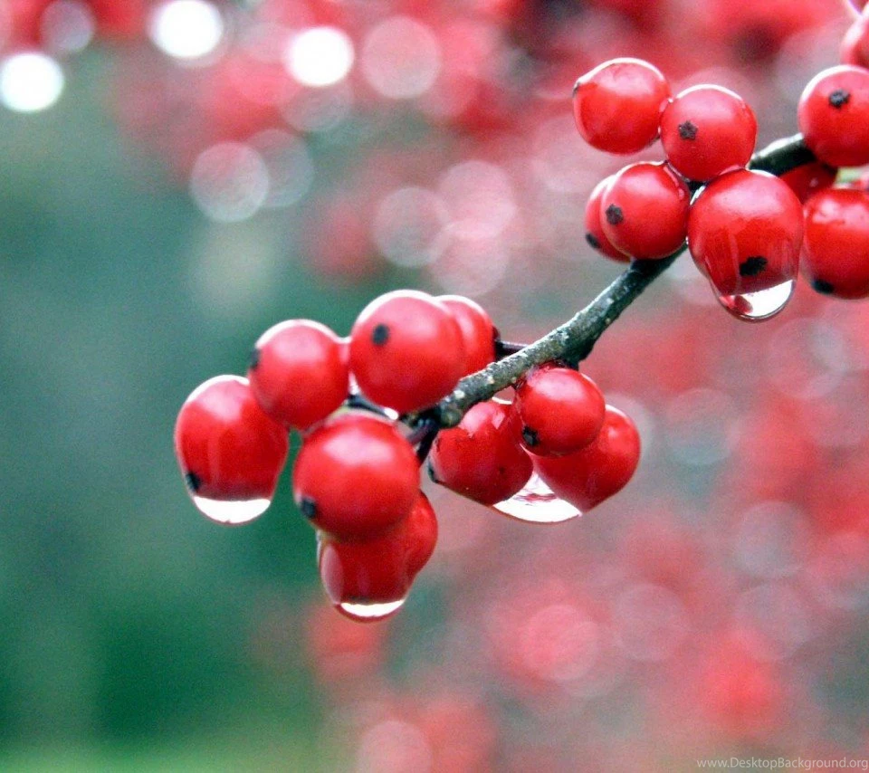 Hd 3d Wallpapers For Android Mobile (9) HD Beautiful Desktop ...