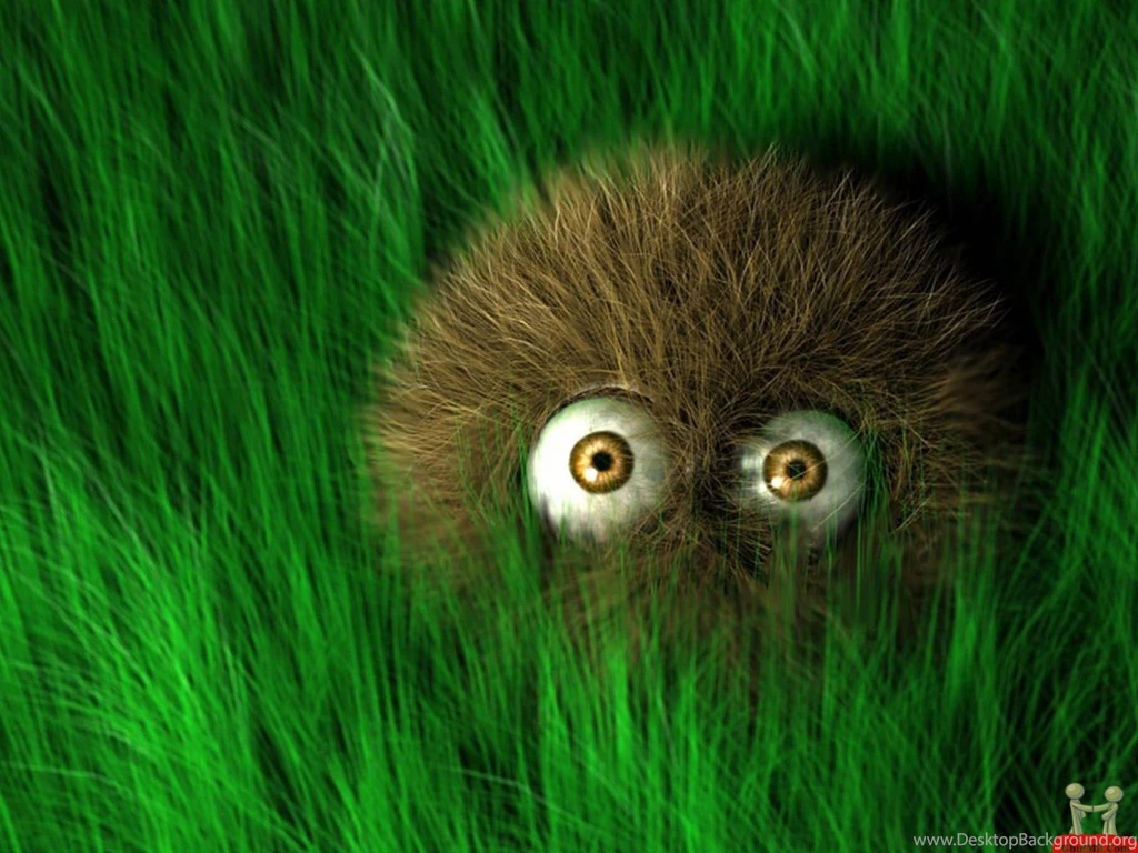 Amazing Pictures: Sweet Funny Wallpapers