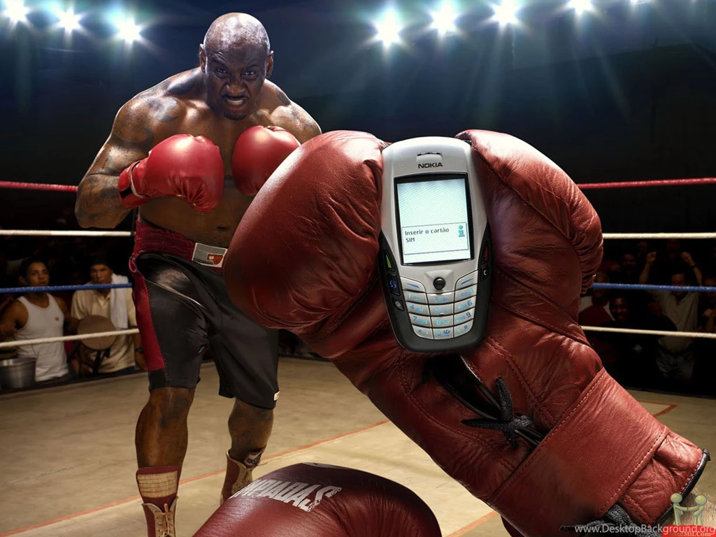 Amazing Pictures: Amazing Cute Most Funny HD Wallpapers