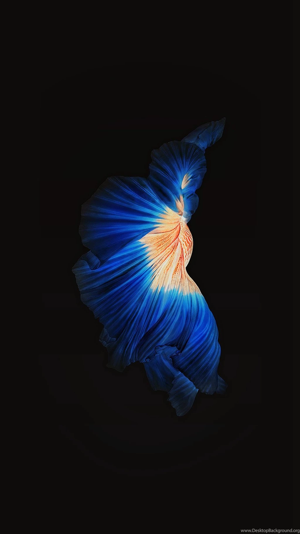 Art & Drawn iPhone 6 Wallpapers