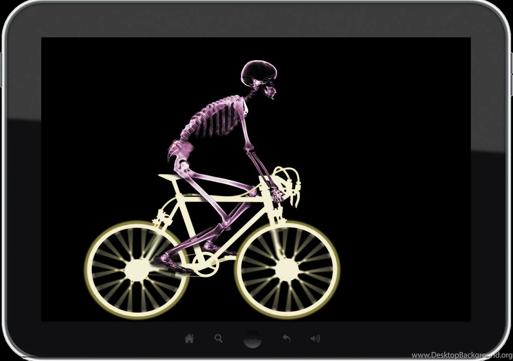X ray Wallpapers Android Apps And Tests AndroidPIT
