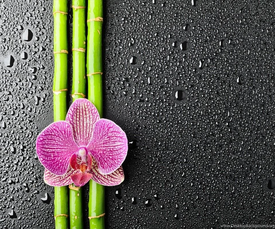 Latest Wallpapers For Mobile 2013 (4) Pleasantwalls.com