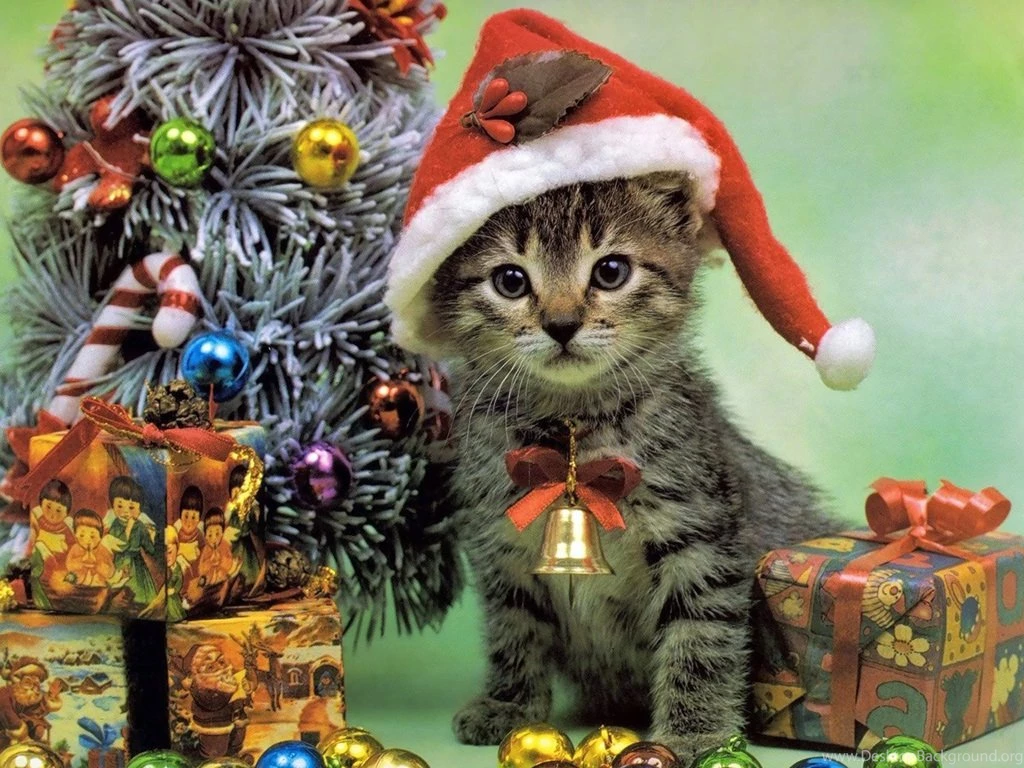Christmas Wallpapers For Mobile Widescreen HD Wallpapers