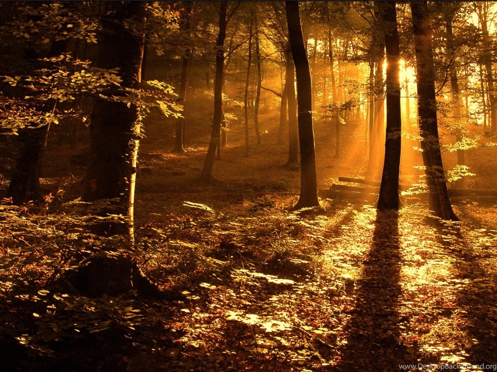 Awesome Wallpapers..