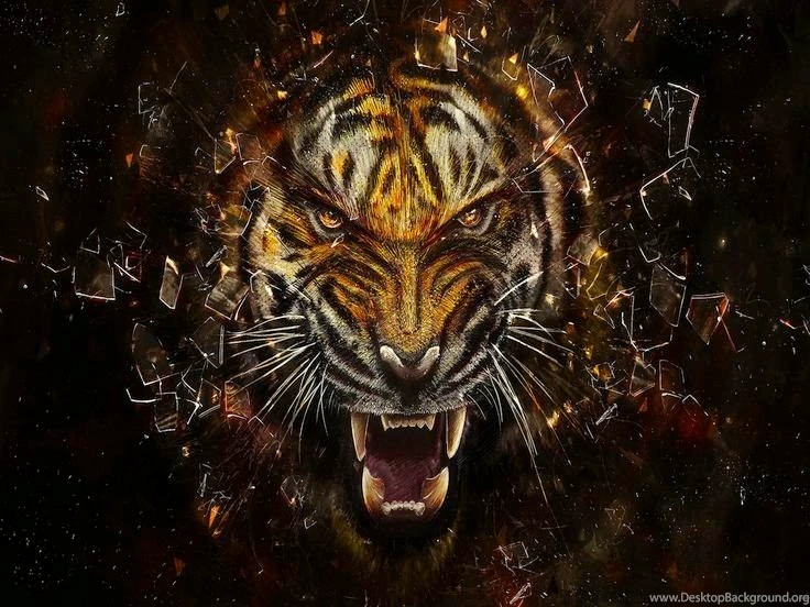 3D Wallpapers