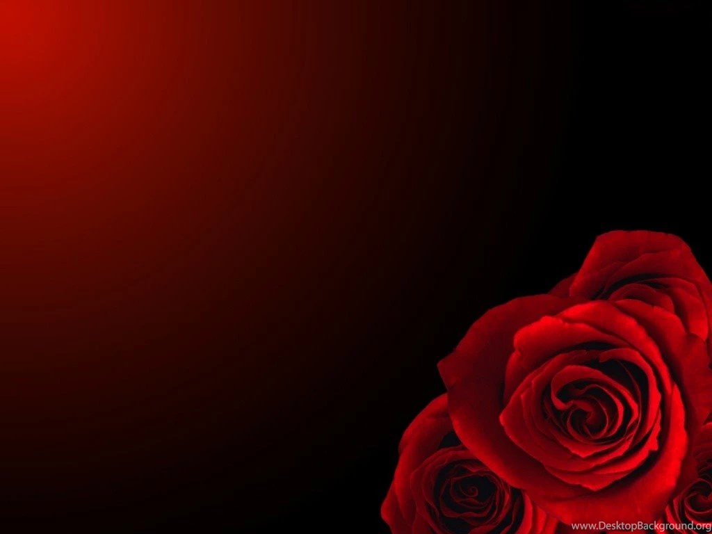 I'm Bored And This Amused Me