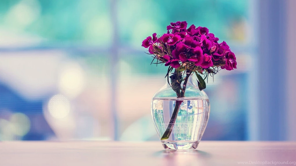 Just beautiful hd wallpaper 336846.jpg