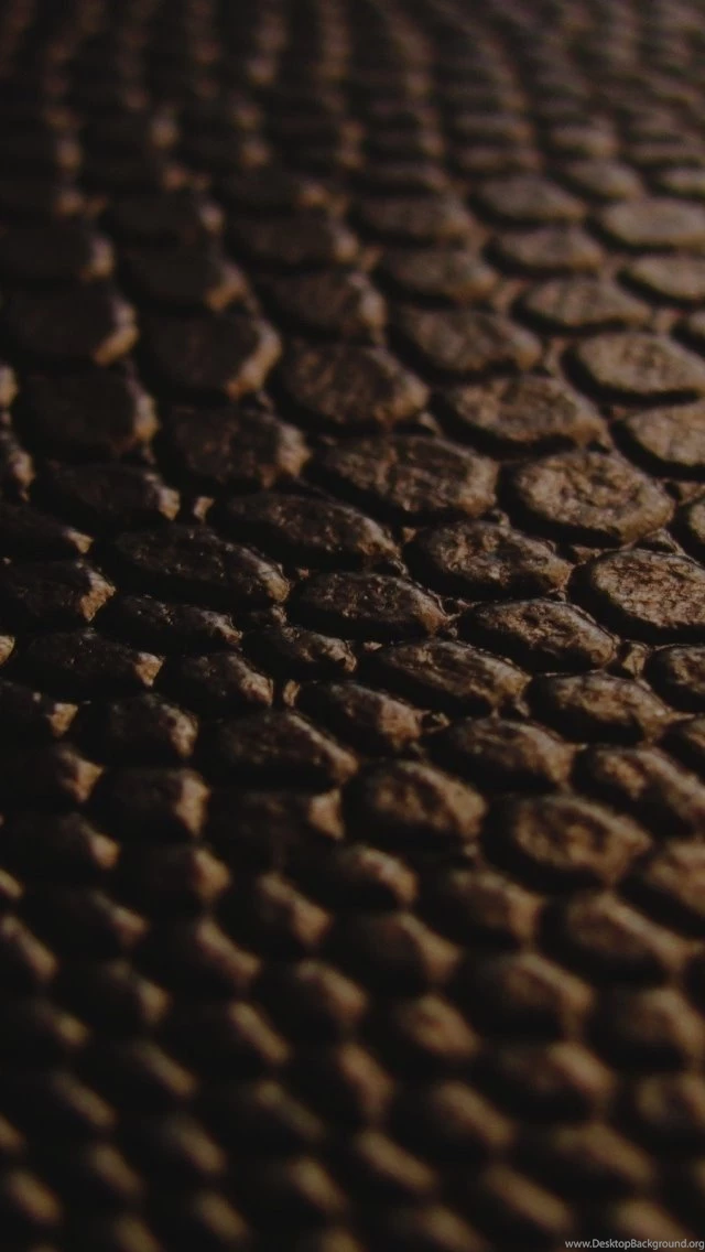 Snake Skin Crackle iPhone 5 Wallpapers (640x1136)