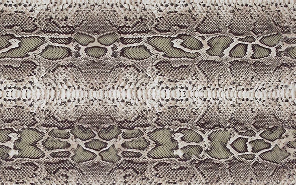 Snake Skin By TechII On DeviantArt