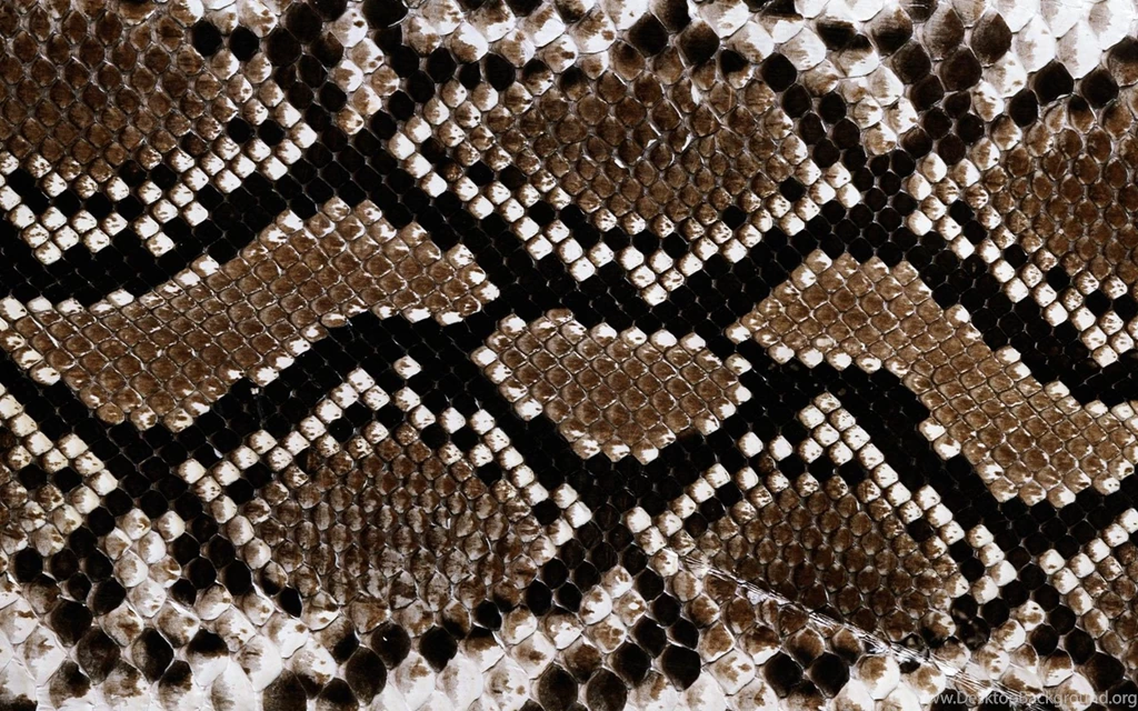 Snake Skin ImgMob