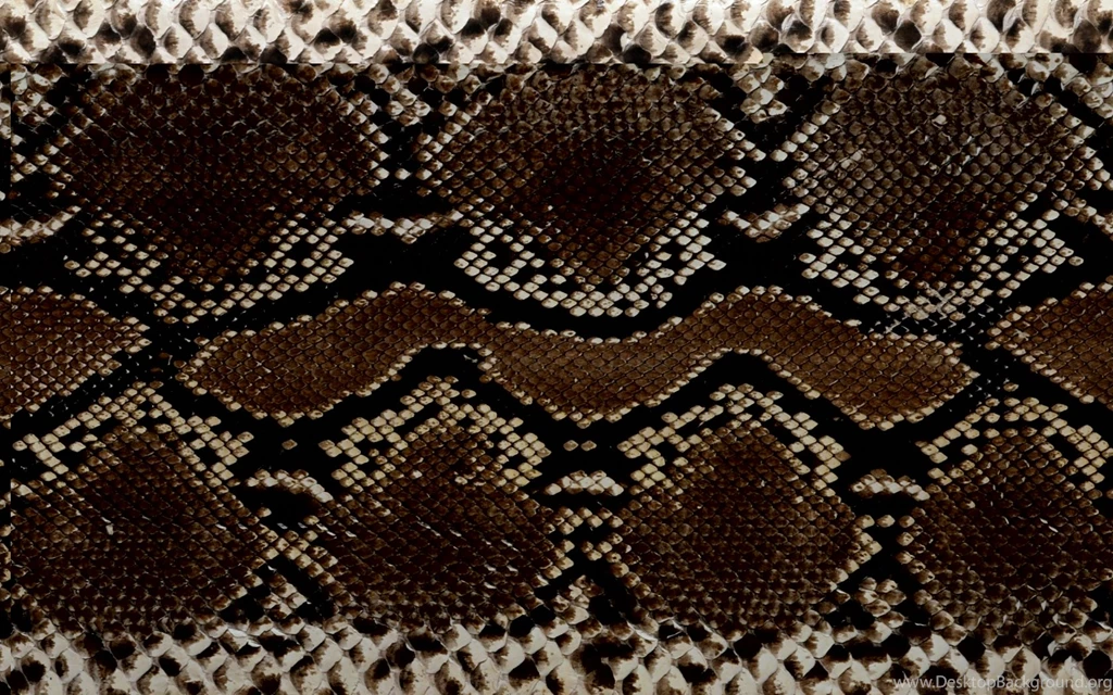 Snake Skin Wallpapers And Stock Images 1680x1050 Resolution