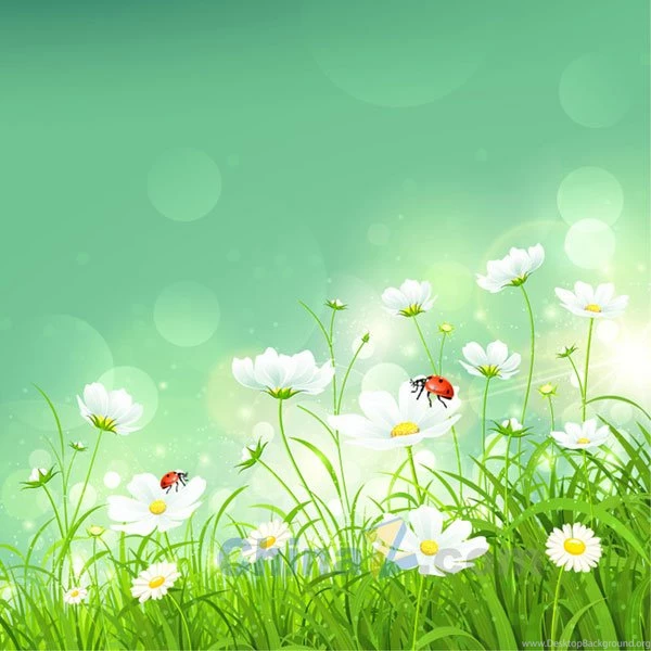Spring Flowers Vector Backgrounds Design