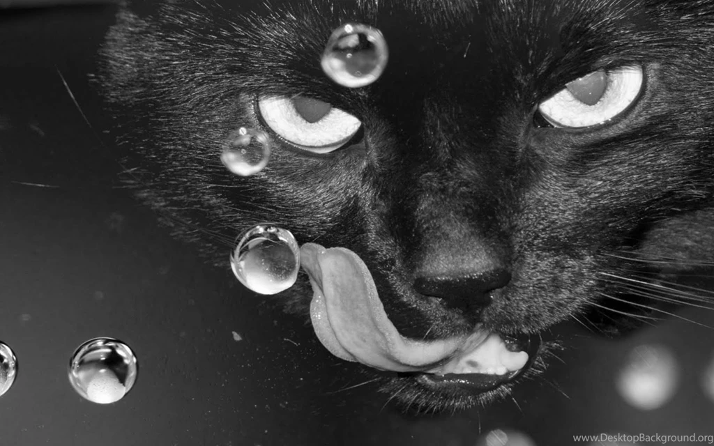 Best Wallpapers Collection: Best Black And White Wallpapers