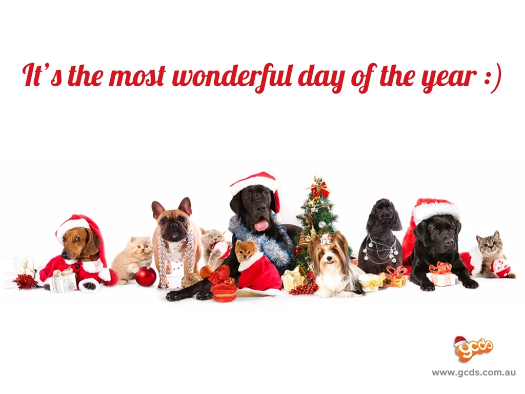 2013 xmas 3 1600x1200.jpg