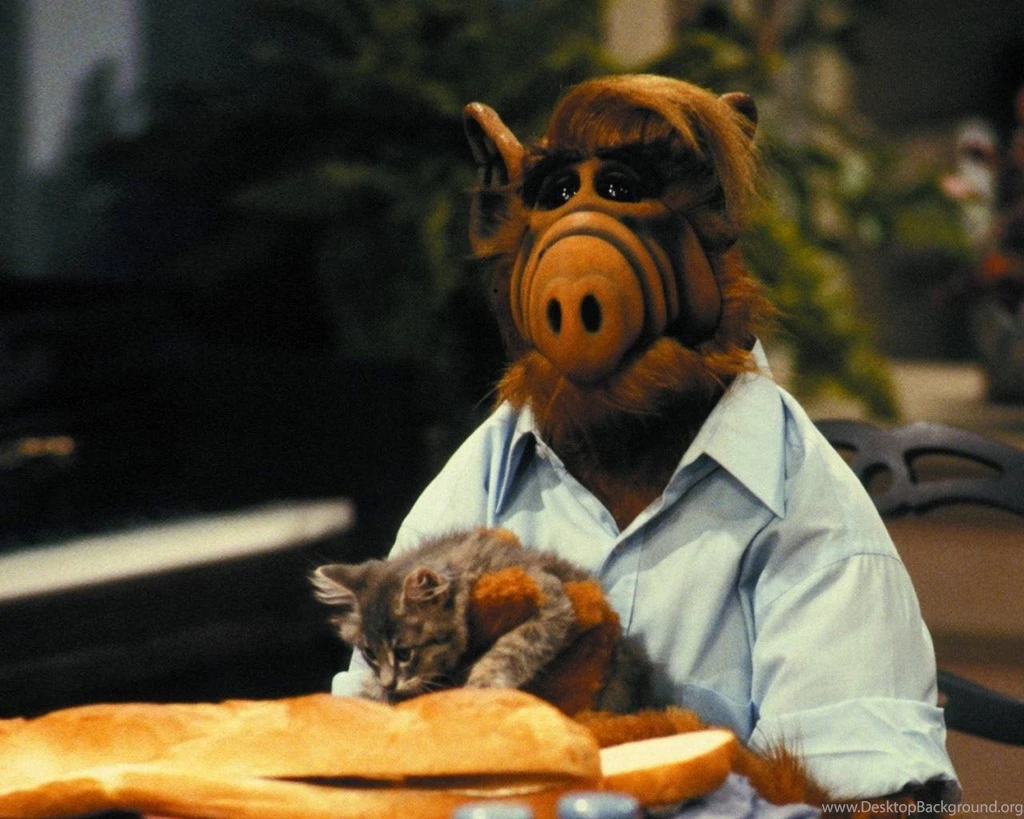 ALF   ALF Picture