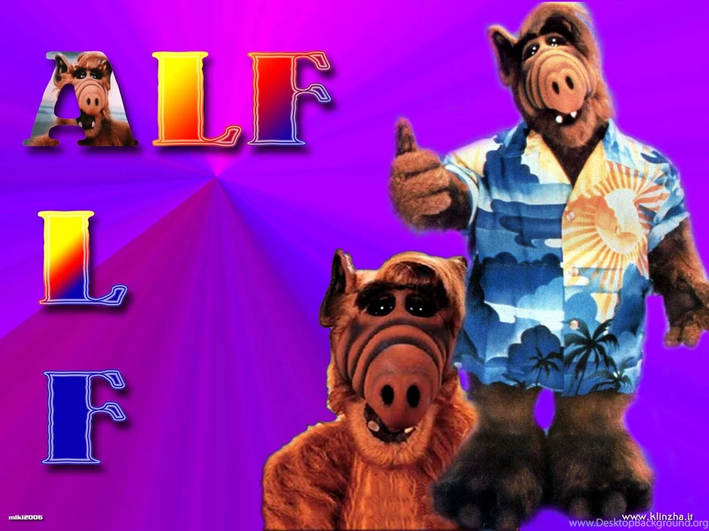 Wallpapers De Un Grande Taringa!