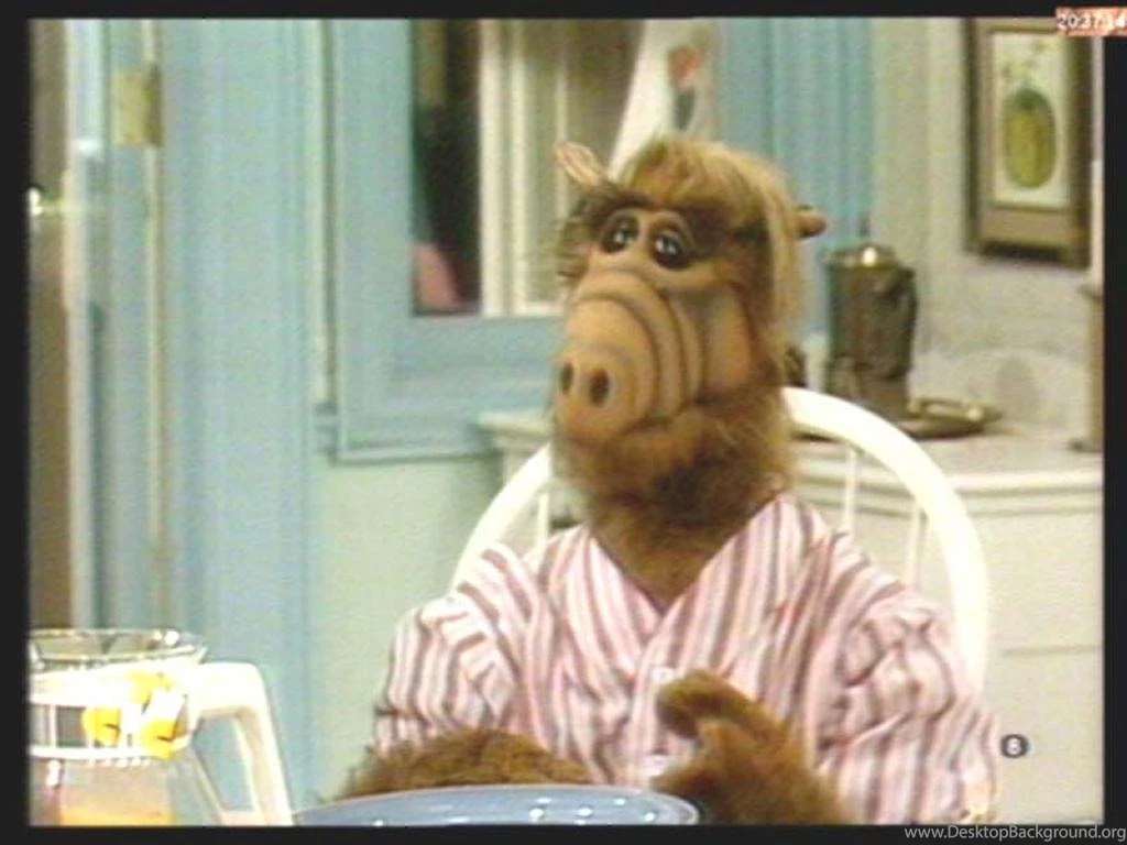 My Free Wallpapers   Movies Wallpapers : Alf
