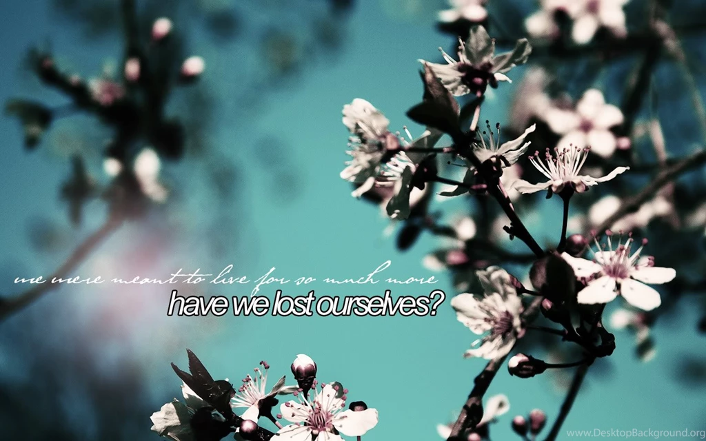 NarniaWeb Community Forums • View Topic Non Narnian Graphics