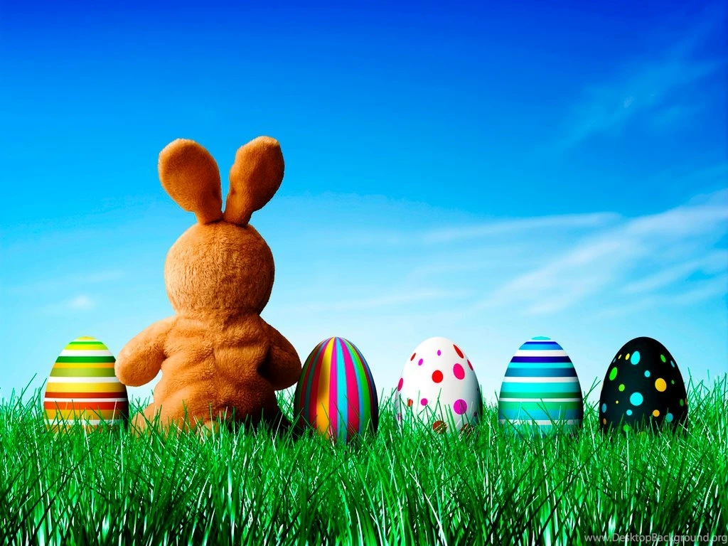 Easter Bunny HD Images