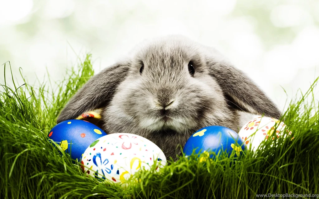 32+ Easter Backgrounds Designs