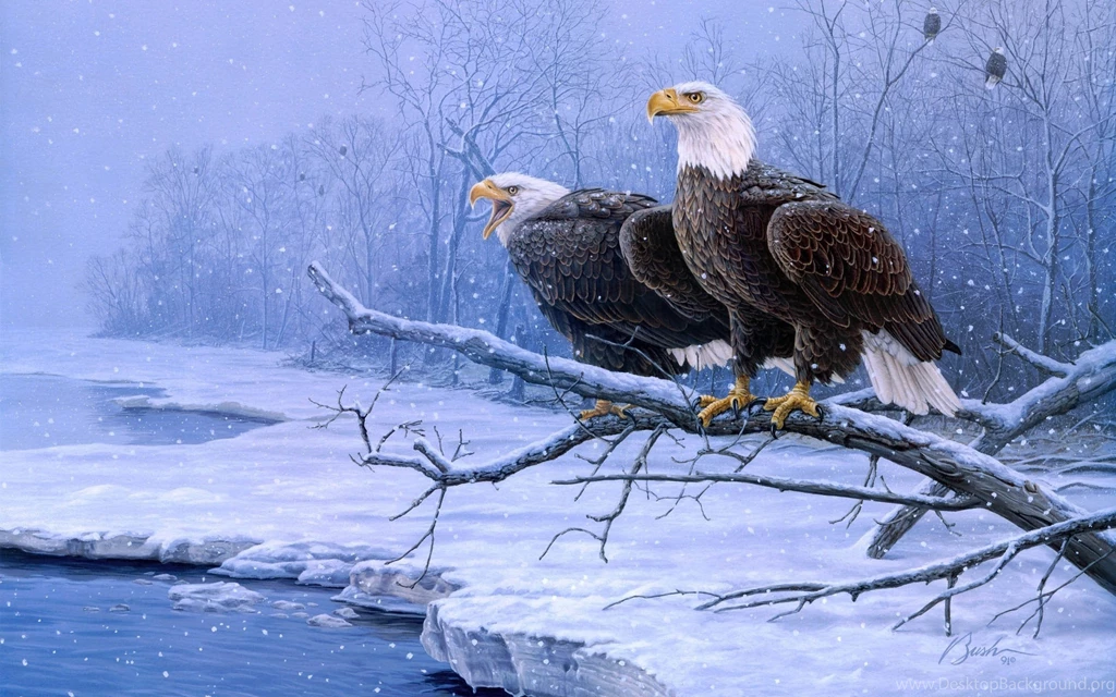 Handsome Birds Desktop Backgrounds For Windows 7