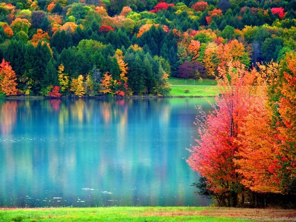 Fall Wallpapers
