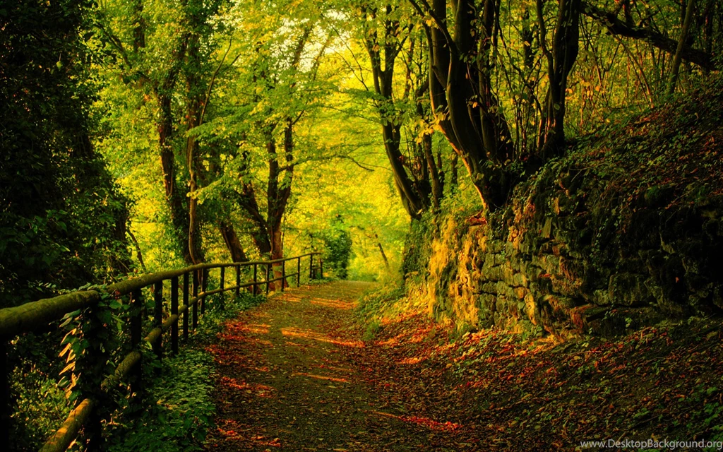 Fall Hd Wallpapers Widescreen HD Wallpapers
