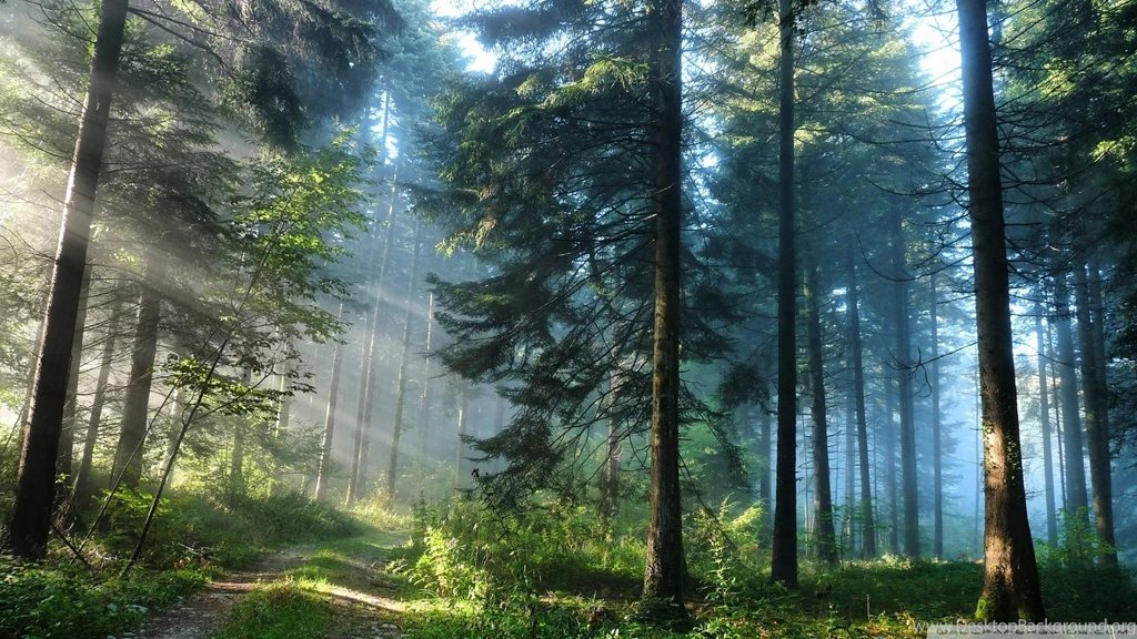Nature Page 934