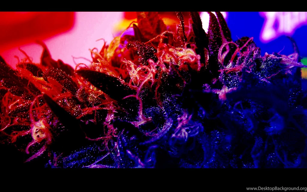 Psychedelic
