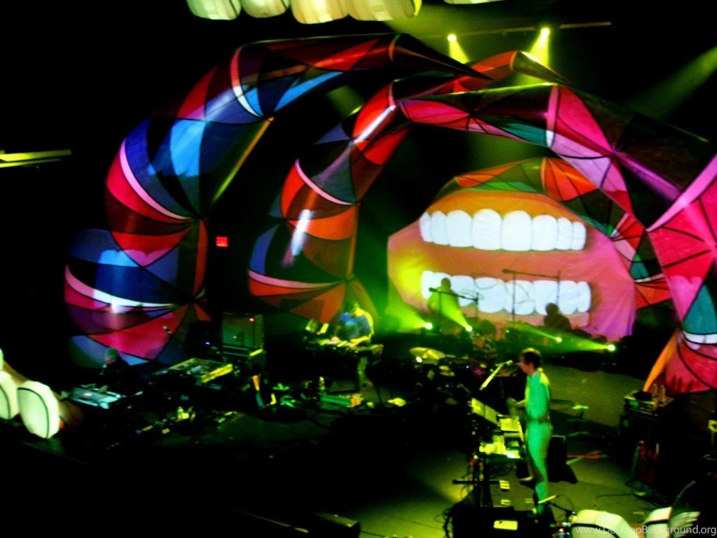Animal Collective: December 4, 2012 Terminal 5 – Flac/MP3 ...