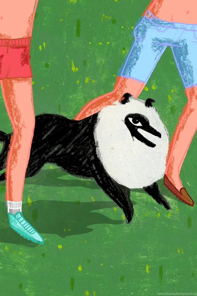 31