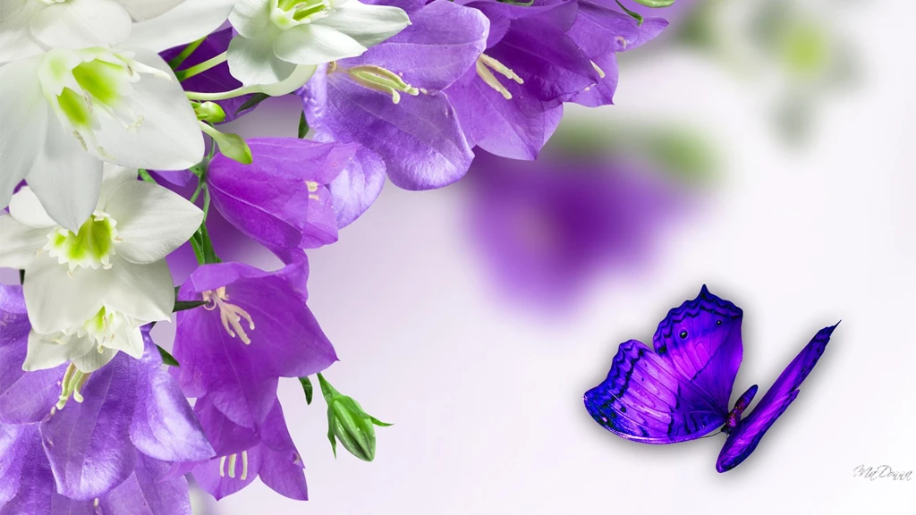 Cool Purple Butterfly Wallpapers   The Cool Art