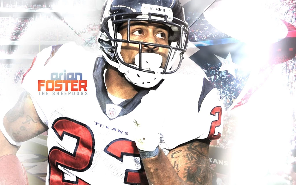 Arian Foster   Houston Texans