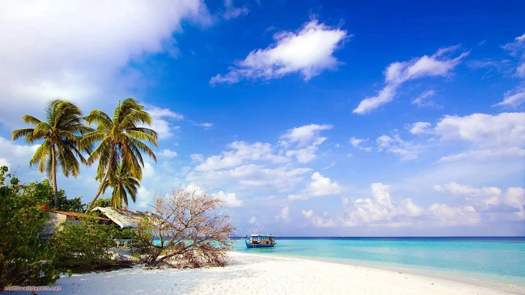 FREE DESKTOP WALLPAPER AWESOME 53D