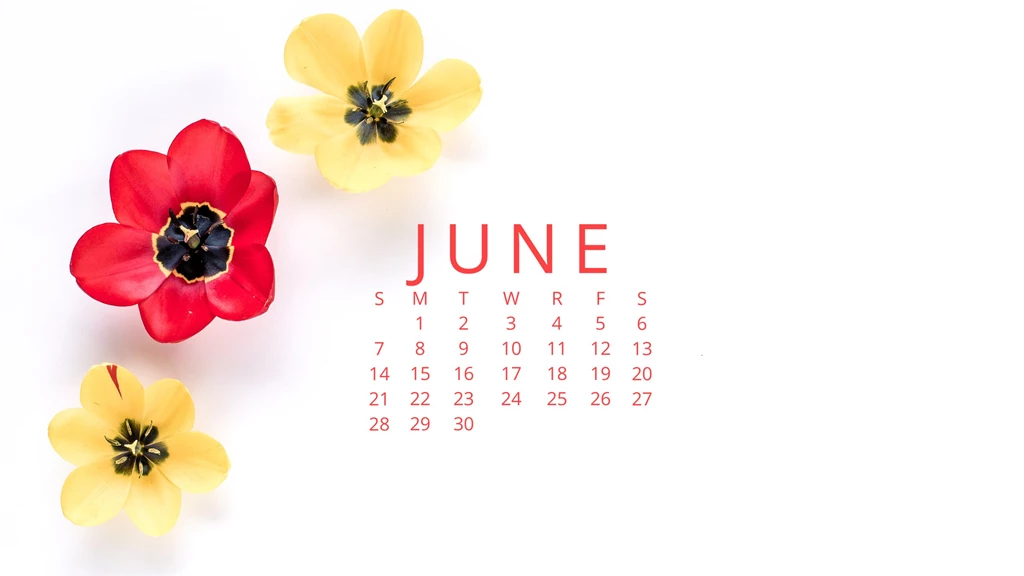 Free Desktop Wallpapers For June — Haute Chocolate
