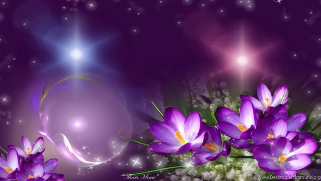 Beautiful Purple (