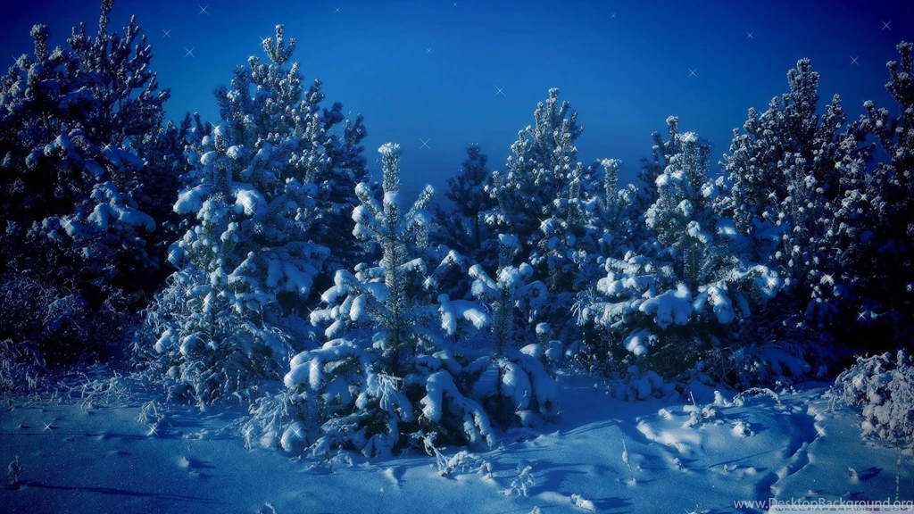 Free christmas countdown desktop background 2012 10.jpg