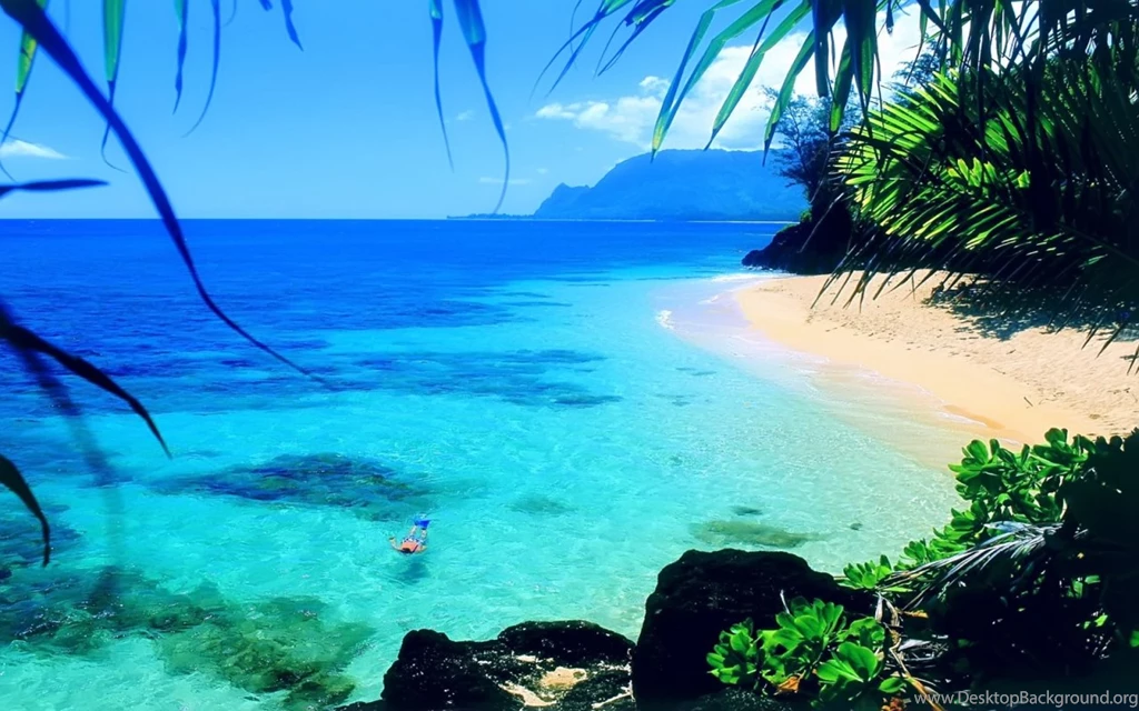 Tropical Desktop Wallpapers L7O Savewallpaper.com
