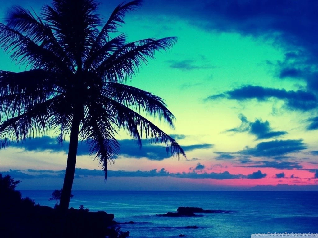 Tropical Desktop Wallpapers F1U Savewallpaper.com