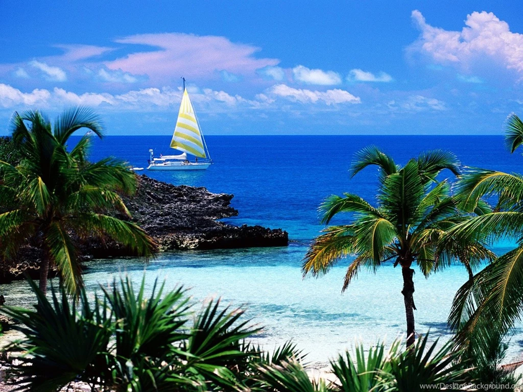 Tropical Desktop Wallpapers O4L Savewallpaper.com