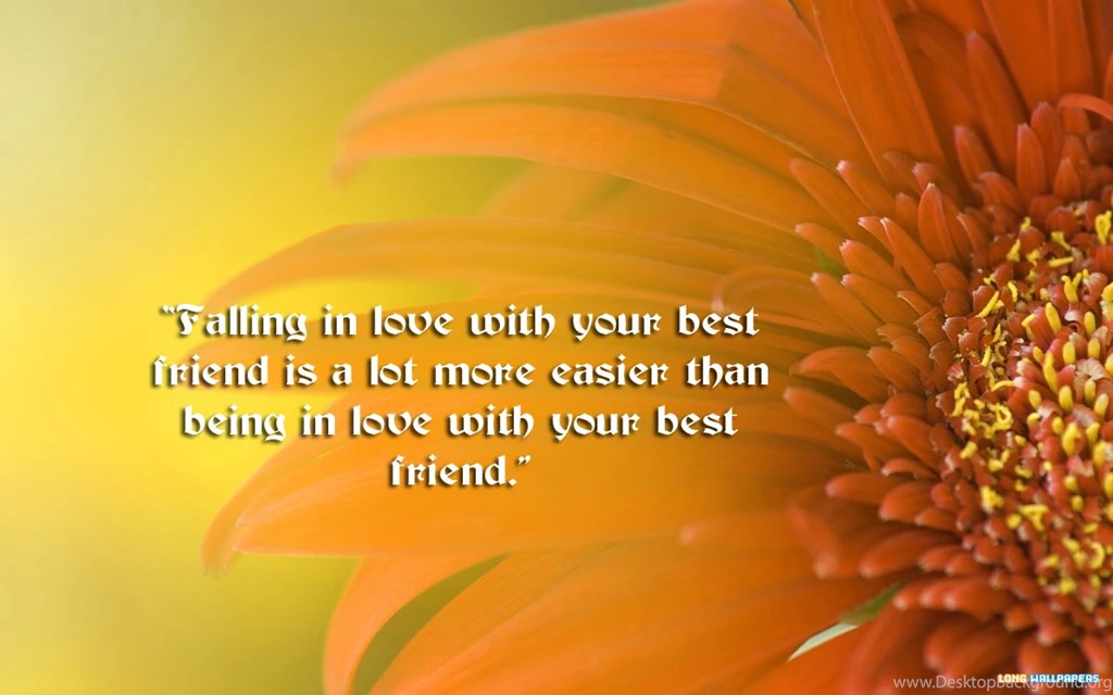 Love Wallpapers With Quotes For Mobile All Wallpapers New