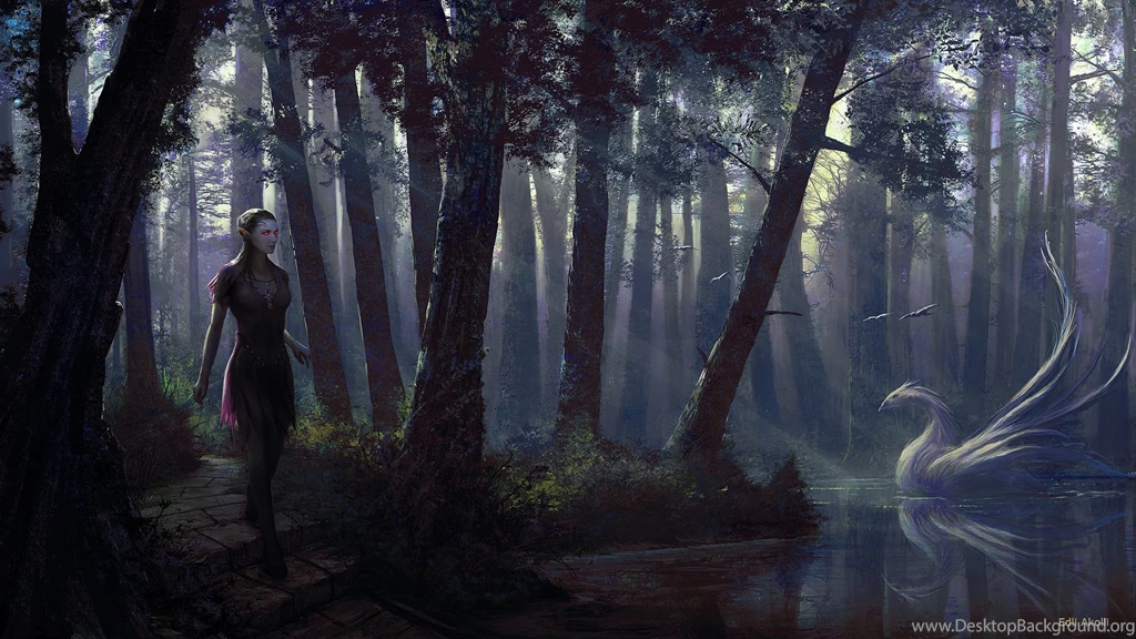 Enchanted Forest Wallpapers