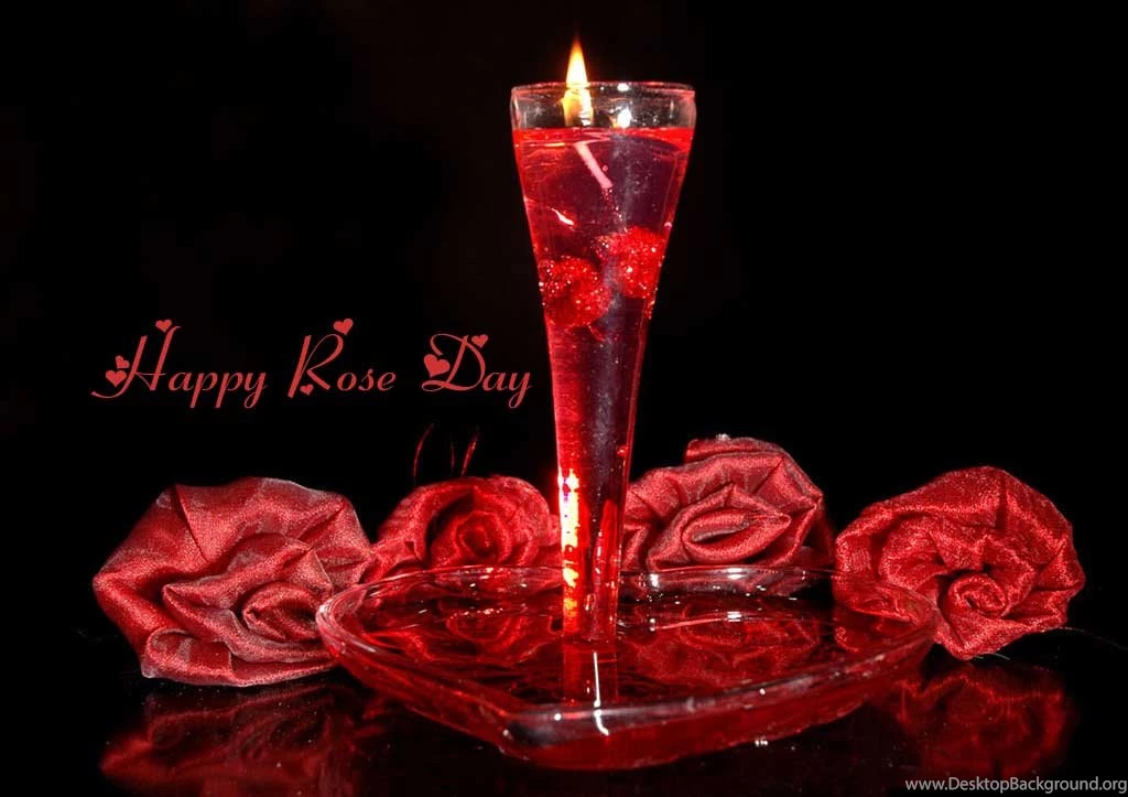 Happy Rose Day 2016 HD Wallpapers Freshmorningquotes