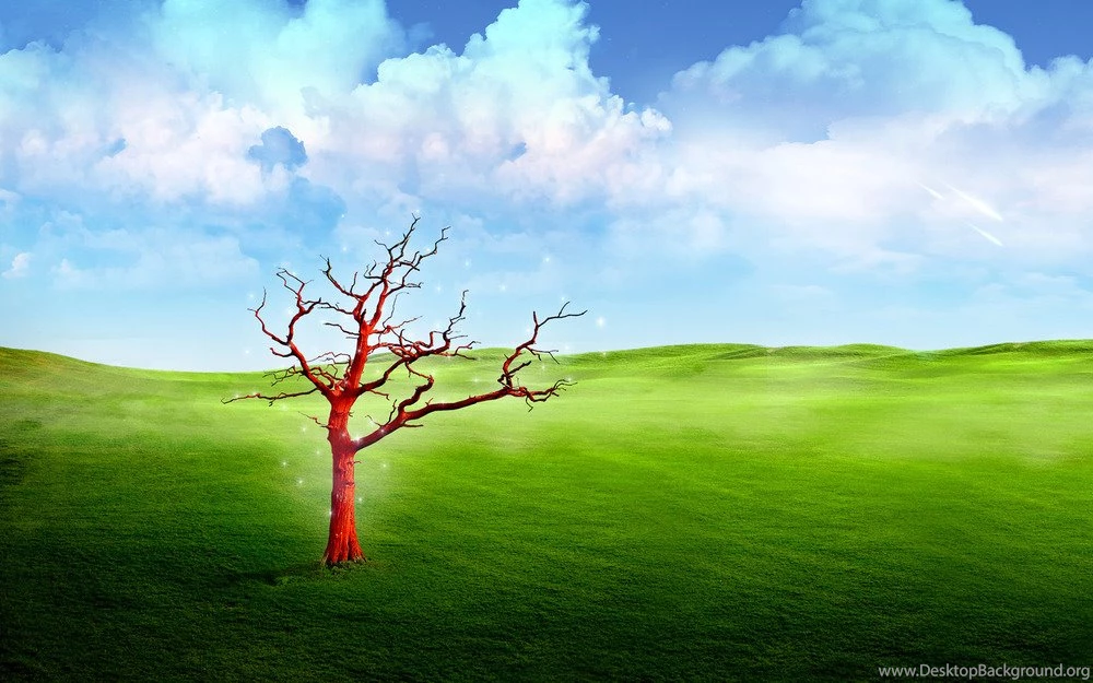Hq wallpapers free download 3.jpg
