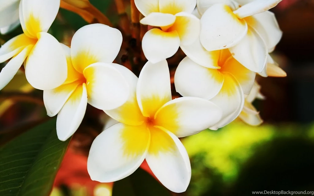 Hd hq hd wallpapers download 3D.jpg