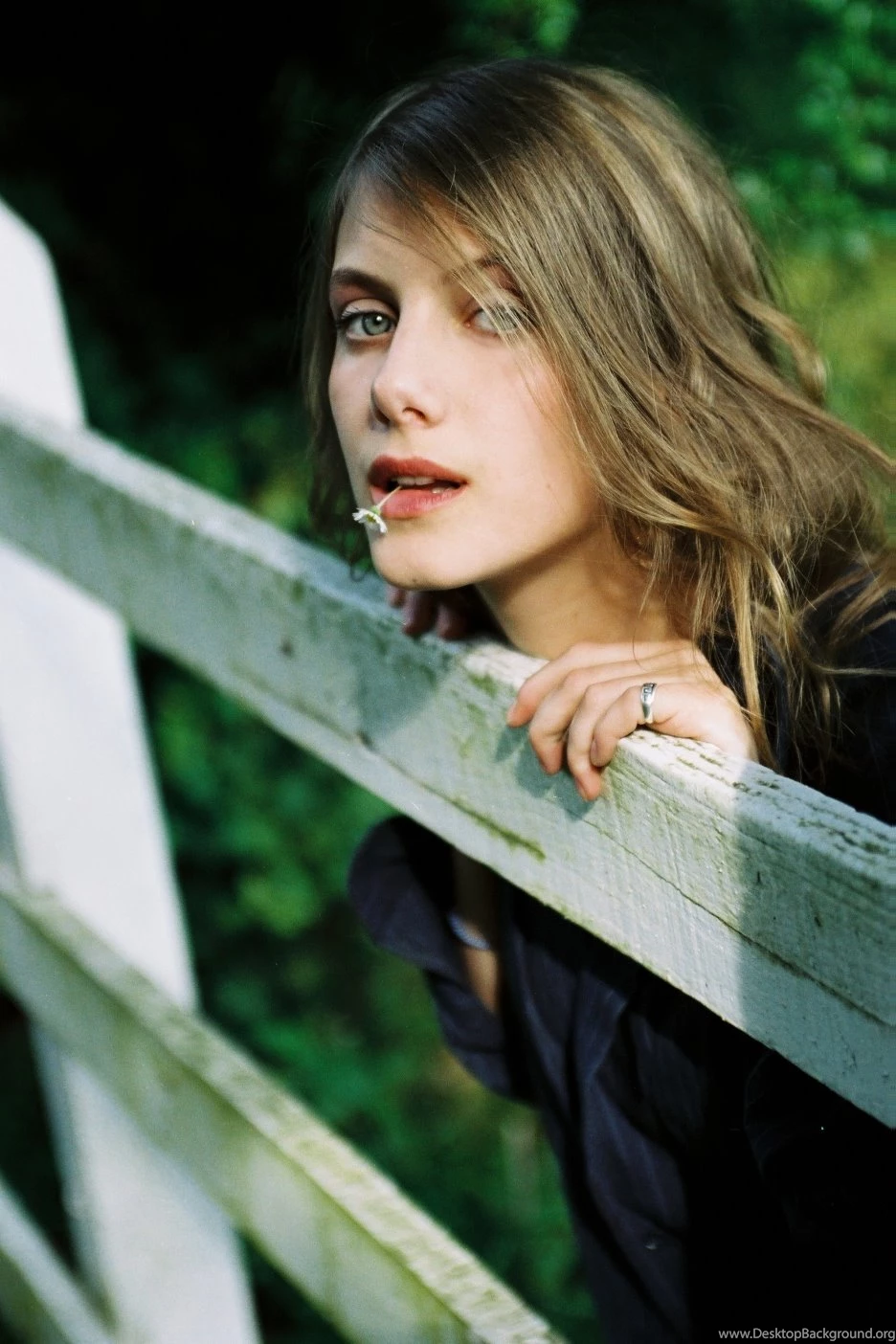 Wallpapers Category Nice: Melanie Laurent   Wallpapers Gallery
