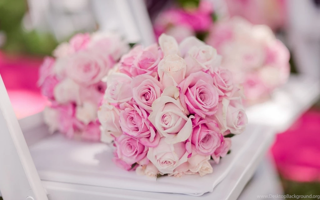 Purple And White Roses Widescreen Wallpapers